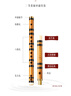 相思鸟笛子单插黄铜笛 F调笛子苦竹笛横笛学生笛初学 XS1001 实拍图