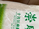 崇明岛2025当季新米崇明岛大米5斤 十月江南大米软香米含胚芽 实拍图