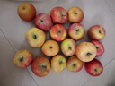 京鲜生 新疆阿克苏苹果 净重9斤装 果径85-90mm 新鲜水果 实拍图