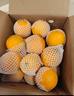 京鲜生 冰糖橙/橙子 5斤装  单果100-130g 生鲜水果年货礼盒 实拍图