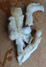 正宗鲁西黄牛生牛筋牛蹄筋儿童厨房必备火锅烧烤生鲜食材健身 生牛蹄筋2斤 国产 实拍图