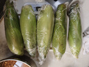 佳农宝菜山东新鲜水果玉米带绿皮单根200g+净重4.6斤4-7根源头直发 实拍图