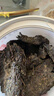 白沙溪茶叶安化黑茶天茯茶湖南特产金花茯茶砖茶1kg茶叶礼盒装送礼袋 实拍图