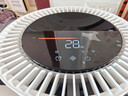 海尔（Haier）无雾加湿器 紫外线除菌 家用落地式地暖空调母婴加湿器 冷蒸发空气加湿器 卧室办公室客厅大容量 活水喷淋式  900mL/h  SZ900-K1U1 实拍图