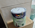 多乐士（Dulux）致悦竹炭抗甲醛五合一净味乳胶漆防霉抗菌油漆A8146补墙漆白色1L 实拍图