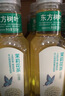 农夫山泉 东方树叶乌龙茶500ml*15瓶无糖茶饮料0糖0脂0卡整箱装解渴饮品 实拍图