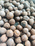 史丹利大号陶粒垫底养花专用花盆铺面多肉花卉种花陶土颗粒园艺陶粒土5L 实拍图