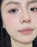 南京同仁堂苹果黄芪水麦冬须根素颜水果花茶包补节日礼物气血养生茶120g 实拍图