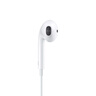 Apple/苹果 EarPods USB-C有线耳机 type-c有线耳机苹果耳机 苹果17有线耳机笔记本耳机游戏音乐 实拍图