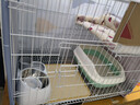 憨憨宠猫笼折叠猫笼子大号猫别墅加粗加密双层猫舍猫窝宠物猫咪用品家用 白色 700双层 实拍图
