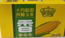 十月稻田 黄甜糯玉米 10根 4.4斤 东北甜黏玉米棒 真空包装 早餐苞米 实拍图