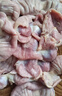 华都食品单冻鸡胗 2斤/袋 冷冻 出口级 烧烤鸡胗鸡肫卤味卤煮食材 实拍图