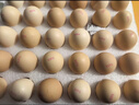 京鲜生 无抗保洁鲜鸡蛋30枚/盒 健康轻食 礼盒送礼 1.5kg/盒 源头直发 实拍图