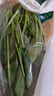 大菠菜300g 实拍图