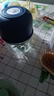 绞肉机小型打蒜器家用绞蒜切蒜器多功能辅食料理机电动蒜泥神器蒜蓉机自动切菜机压蒜器 蓝色升级款 0.26L 加厚玻璃杯 6页刀 实拍图
