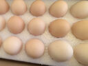 1号会员店One's Member 减醇可生食标准鲜鸡蛋 15枚 单枚55g 源头直发 实拍图