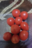 京地达山东圣女果小番茄 净重4.5斤 单果8g+ 水果小番茄源头直发包邮 实拍图