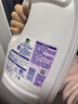 滴露（Dettol）衣物除菌液薰衣草3L 99.9%杀菌除螨 内衣衣物消毒液 可配洗衣液 实拍图