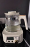 小白熊全玻璃恒温水壶调奶器婴儿电热水壶烧水壶冲奶1.2L 5025随机发货 实拍图