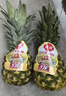佳农 黑钻菠萝1粒装 菲律宾凤梨 净重2斤起 生鲜水果 源头直发 包邮 实拍图