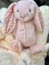 Jellycat害羞乳白色邦尼兔动物毛绒玩偶安抚玩偶娃娃送礼生日礼物 花布胭脂粉色邦尼兔（彻蕊） Medium 实拍图