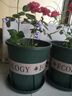 九千谷花盆加仑盆 园艺种植家用塑料花盆兰花盆带托盘24*24cm3个装5082 实拍图
