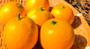 甜果源 麻阳冰糖橙 手剥橙子湖南高山脐甜橙子果冻甜橙当季新鲜水果 净重9斤【超值实惠】 单果65-70mm【钻石稀缺果】 实拍图