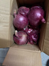 京鲜生 甘肃紫红皮洋葱净重5斤单果200g+ 现挖新鲜蔬菜 源头直发包邮 实拍图