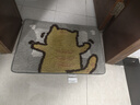 大江地垫卫生间脚垫浴室门口吸水垫厕所浴室防滑地垫45x65cm 实拍图