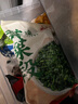 云山半新鲜荠菜馅段冷冻锁鲜450g饺子包子馄饨馅半加工蔬菜 实拍图