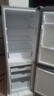 上菱183升双开门冰箱小型出租房2-3人用 出租屋家用两门二门小户型双门电冰箱以旧换新BCD-183D 实拍图