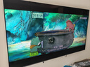 TCL电视 85Q9L Pro 85英寸 QD-Mini LED 蝶翼星曜屏 万象分区 绚彩XDR 超薄 国家补贴 护眼 实拍图