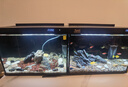 森森金麟超白玻璃鱼缸一体缸自循小型懒人家用水族箱LE-380 实拍图