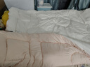 水星家纺被子冬被冬季被子加厚保暖被芯A类纤维被褥约6.8斤 实拍图