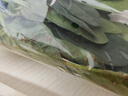 大菠菜300g 实拍图