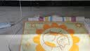 ERGOBABY宠物电热毯恒温防水狗狗加热垫四季猫狗窝保暖狗垫子用品取暖神器 实拍图