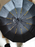 艾小姐全自动伞加强伞骨雨伞太阳伞防紫外黑胶防晒遮阳伞 120骨黑胶全自动【黑色】 实拍图