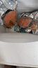 朵芙 三文鱼排 500g* 2包 三文鱼扒挪威三文鱼 轮切鱼排海鲜水产 生鲜 三文鱼排 精选2-3片 500g 实拍图