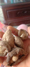 西峡香菇干货新货冬菇大香菇新鲜菌类土特产炒菜餐饮食材产地直供 西峡大香菇500g 西峡香菇/产地直供 实拍图