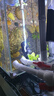 森森（SUNSUN）鱼缸冲浪泵水族箱造浪泵横流造流泵 JVP-110 3w适合0.6米以下的鱼缸 实拍图