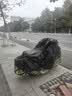 智国者电动车防雨罩遮阳防晒防尘摩托电瓶自行车台子铃辆挡雨天神器车衣 实拍图