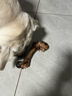 蒙贝狗零食狗狗磨牙棒 香酥牛棒骨 磨牙洁齿除垢 适用成犬大型犬 大号 实拍图