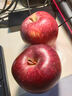 京鲜生 美国进口特级红蛇果 4粒装 单果重160g+ 新鲜水果源头直发  实拍图