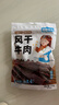 岗嘎牦牛牛肉干500g西藏拉萨超干牦牛肉干9成风干牦牛肉耗牛肉干正宗特产 【大包装净重1斤】五香250g*2包，9成干牛肉干 实拍图