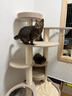 兽牌森林猫爬架大型猫树猫窝一体豪华剑麻猫架太空舱缅因大猫四季适用 森林【双太空舱款】 实拍图