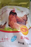 正大食品（CP）老母鸡净重2.8斤  饲养500天老母鸡全鸡 月子姨妈期煲汤  实拍图