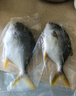 翔泰海南深海金鲳鱼700g 2条 火锅 年货节生鲜鱼类 BAP认证 海鲜水产  实拍图