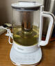 膳魔师（THERMOS）养生壶烧水壶煮茶壶全玻璃煮茶器国家补贴一体式茶水分离电热水壶办公室炖煮壶一体小型自动恒温壶 【纯钛底发热】轻养生活 1.5L 实拍图