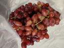 京鲜生 克伦生红提 葡萄 2斤装 生鲜水果 克瑞森 酸甜口感 实拍图
