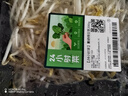 【24小时菜】富硒绿豆芽200g 实拍图